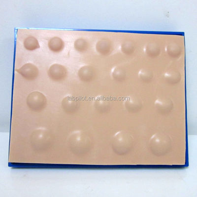 Práctica de cirugía de la piel modelo de gran Suring Pad para el absceso de la incisión de drenaje práctica