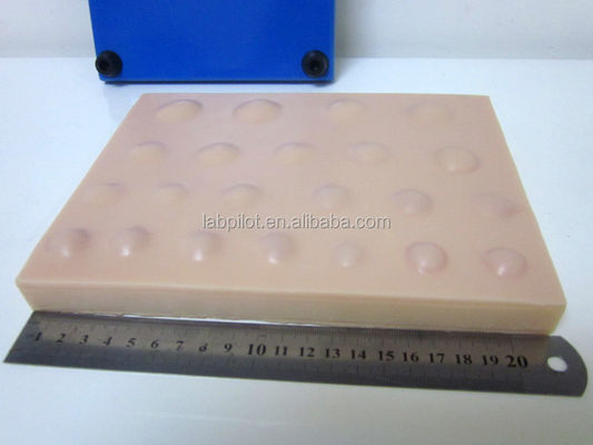 Práctica de cirugía de la piel modelo de gran Suring Pad para el absceso de la incisión de drenaje práctica