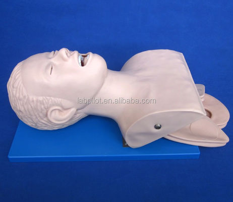 Modelo electrónico de intubación traqueal para adultos con alarma de presión dental