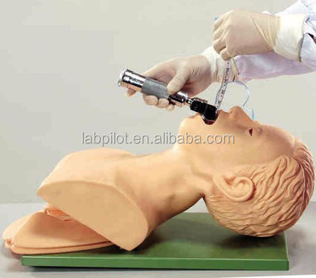 Modelo electrónico de intubación traqueal para adultos con alarma de presión dental