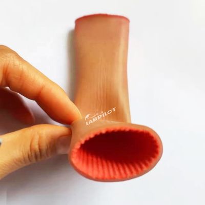 Modelo de entrenamiento de anastomosis intestinal para estudiantes de medicina Práctica de sutura laparoscópica
