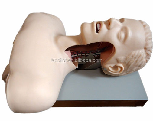 Advertencia electrónica Entrenador de intubación oral y nasal para capacitación en habilidades de emergencia