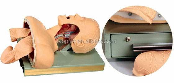 Advertencia electrónica Entrenador de intubación oral y nasal para capacitación en habilidades de emergencia