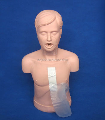 Maniquí de entrenamiento de RCP para adultos con apertura avanzada de las vías respiratorias y simulación de maniobras de Heimlich