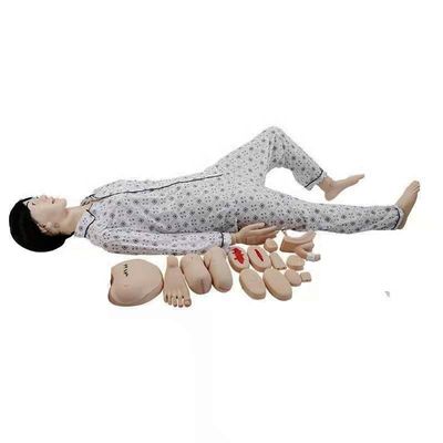 Maniquí genital específico de género para la formación en ciencias médicas Edición de cuidadores