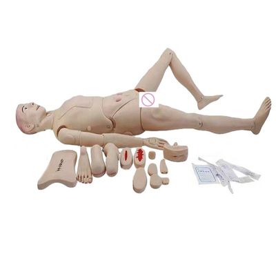 Maniquí genital específico de género para la formación en ciencias médicas Edición de cuidadores