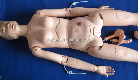 Órganos internos Enfermería Formación maniquí para la vida humana Tamaño del paciente Demonstración de atención