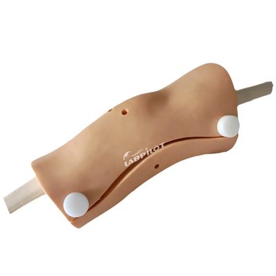 Modelo de Artroscopia Avanzada de Rodilla Clínica de Enfermería Capacitación con Plástico de PVC Avanzado