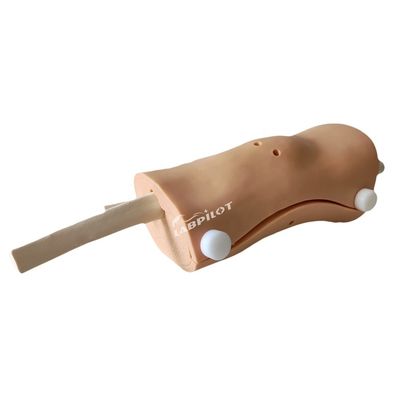 Modelo de Artroscopia Avanzada de Rodilla Clínica de Enfermería Capacitación con Plástico de PVC Avanzado