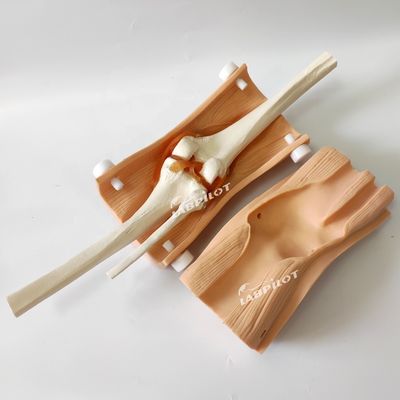 Modelo de Artroscopia Avanzada de Rodilla Clínica de Enfermería Capacitación con Plástico de PVC Avanzado