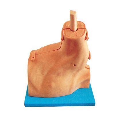 Simulador de entrenamiento de examen médico para la artroscopia del hombro, la mejor opción de los hospitales