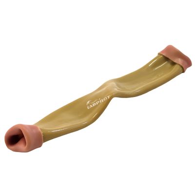 Modelo de entrenamiento de habilidades quirúrgicas para la anastomosis intestinal Simulación humana realista