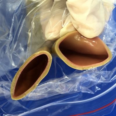 Modelo de entrenamiento de habilidades quirúrgicas para la anastomosis intestinal Simulación humana realista