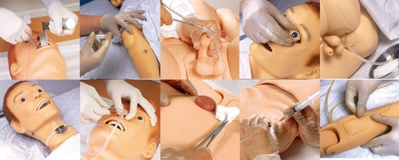 Categorías Práctica integral de cuidados de enfermería Simulador de pacientes masculinos multifuncional
