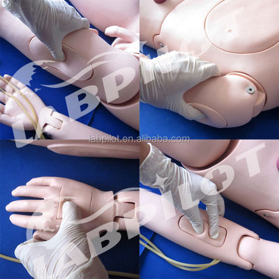 Formación de enfermería masculina y femenina maniquí para pacientes flexibles