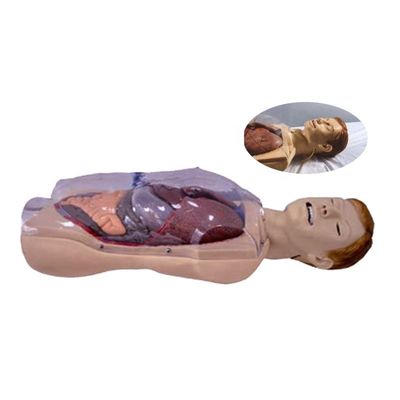 Hospital Clínica Colegio Escuela de enfermería Tamaño de la vida humana Sengstaken-Blakemore NG Tubo Simulador de entrenamiento de enfermería