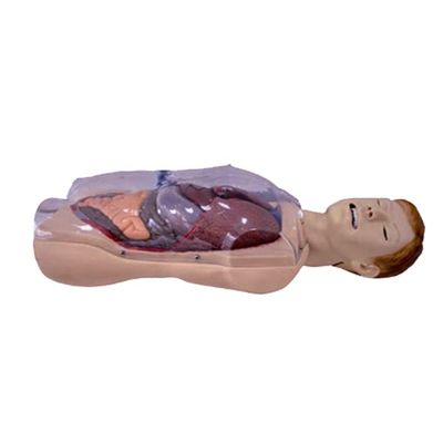 Hospital Clínica Colegio Escuela de enfermería Tamaño de la vida humana Sengstaken-Blakemore NG Tubo Simulador de entrenamiento de enfermería