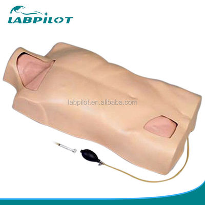 Simulador de entrenamiento de punción de venas múltiples Cateterismo venoso central Modelo de torso