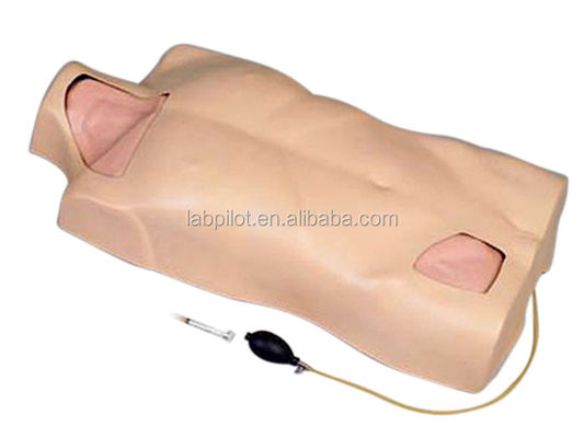 Simulador de entrenamiento de punción de venas múltiples Cateterismo venoso central Modelo de torso