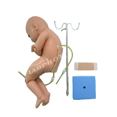 Ciencias Médicas Puntura lumbar infantil Anestesia Simulador de entrenamiento maniquí