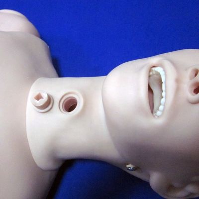 Ciencias Médicas Tipo básico Femenino Simulador de entrenamiento de maniquí de enfermería con PVC avanzado