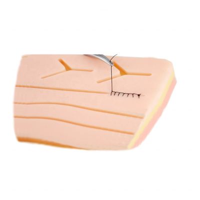 Modelo de entrenamiento de sutura cutánea de silicio de 3 capas perfecto para mejorar la práctica quirúrgica