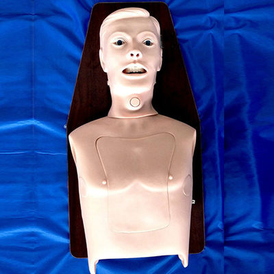 Entrenador de intubación para adultos: la mejor opción para la formación en gestión de vías respiratorias multifuncionales