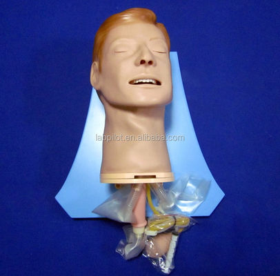 Simulador de entrenamiento de intubación Modelo integral de vías respiratorias con maniquí de tamaño humano