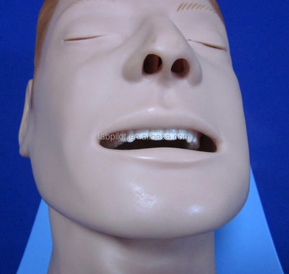 Simulador de entrenamiento de intubación Modelo integral de vías respiratorias con maniquí de tamaño humano