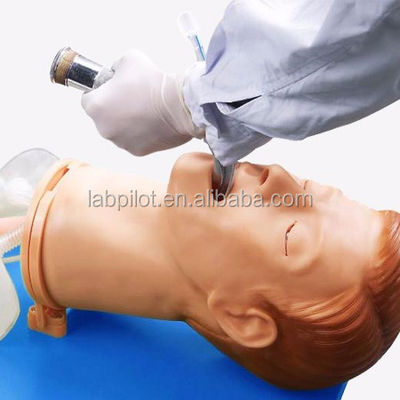 Simulador de entrenamiento de intubación Modelo integral de vías respiratorias con maniquí de tamaño humano
