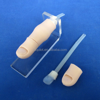 Ciencias Médicas 2017 Simulador de uñas de los dedos de los pies incrustadas Formación de avulsión parcial de uñas Modelo de dedos