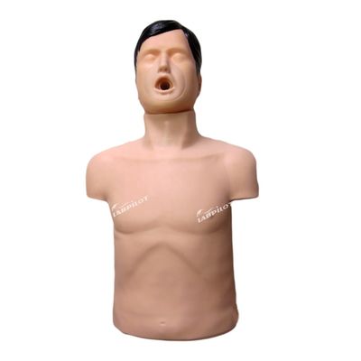 Entrenamiento de primeros auxilios en obstrucción de las vías respiratorias de PVC para adultos maniquí para entrenamiento de asfixia