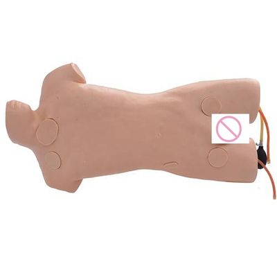 Maniquí de entrenamiento avanzado de cuidado humano de PVC para simulación de punción de vena jugular externa