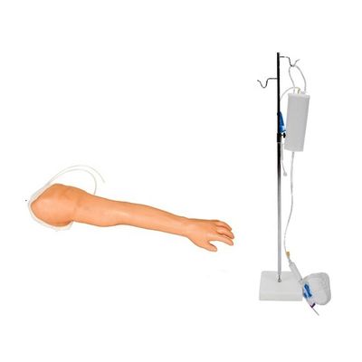 Modelo realista de brazo de entrenamiento en venenctura e inyección para profesionales de la salud