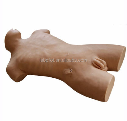 Maniquí de heridas vivas de tamaño humano para entrenamiento en venenictura central en atención médica