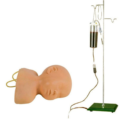 Modelo de entrenamiento de venenictura neonatal del cuero cabelludo La ventaja del diseño de tamaño humano