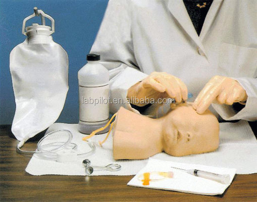 Modelo de entrenamiento de venenictura neonatal del cuero cabelludo La ventaja del diseño de tamaño humano