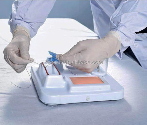 Modelo avanzado de capacitación en habilidades quirúrgicas multifuncionales de PVC para capacitación integral