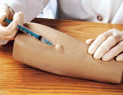 Simulador de práctica de pruebas cutáneas Tamaño de vida humana Inyección intradérmica