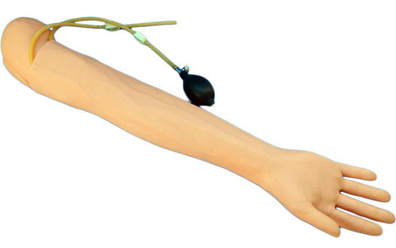Simulador de enseñanza médica de tamaño humano brazo para extracción de sangre e infusión práctica