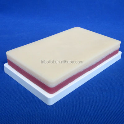 Simuladores de enseñanza médica de 3 capas elástica de cirugía para músculo y piel
