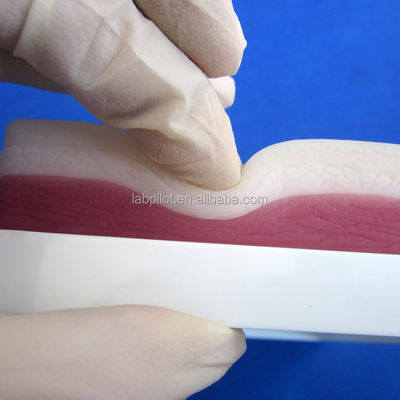 Simuladores de enseñanza médica de 3 capas elástica de cirugía para músculo y piel