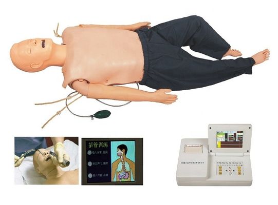 Maniquí de PVC para la formación médica en las categorías de ACLS y modelo de intubación IV