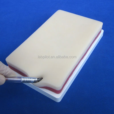 Maniquí tamaño de vida humana Pad de práctica de sutura de 3 capas para la piel de grasa y el modelo de entrenamiento muscular