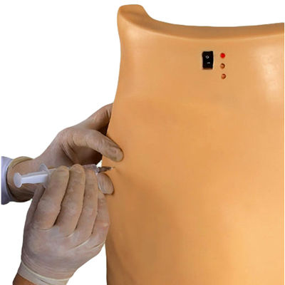 Modelo médico para el entrenamiento de punción Demonstración Inyección muscular electrónica Enseñanza