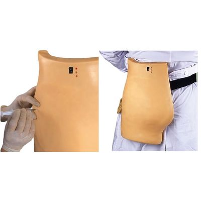 Modelo médico para el entrenamiento de punción Demonstración Inyección muscular electrónica Enseñanza
