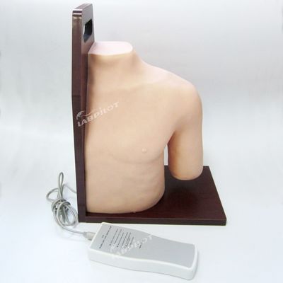 Asunto Ciencias Médicas maniquí Inyección electrónica de la articulación del hombro Simulador de entrenamiento Modelo de enfermería