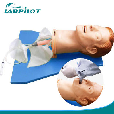 Cabeza de intubación de anatomía viva para modelo electrónico de gestión de vías respiratorias multifuncional