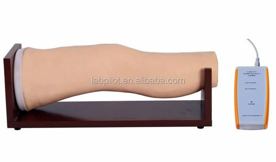 Vivid Electronic Knee Joint Injection Intraarticular Training Model para las habilidades de enfermería clínica