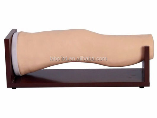 Vivid Electronic Knee Joint Injection Intraarticular Training Model para las habilidades de enfermería clínica